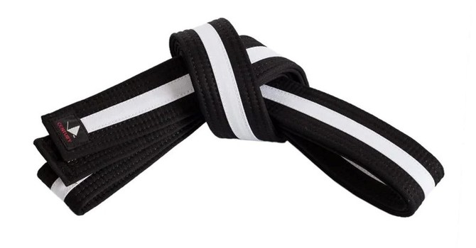 Great Way's Junior Black Belt Journey 